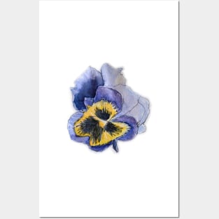 Watercolour Sketch - Pansy Posters and Art